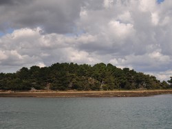 mini_a-la-decouverte-des-iles-du-morbihan-57f619ee8be56.jpg