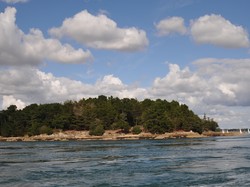 mini_a-la-decouverte-des-iles-du-morbihan-57f61adce012b.jpg