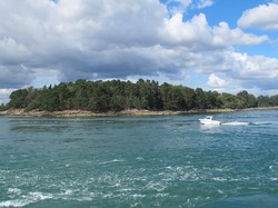 mini_a-la-decouverte-des-iles-du-morbihan-57f61c8079853.jpg