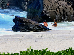mini_le-dimanche-a-grande-anse-5534892990efa.jpg