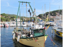 mini_le-port-des-oursinieres-au-pradet-526ef8be7eb41.jpg