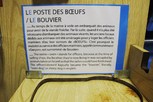 mini_visite-de-la-flore-par-l-aaae-protet-50712ab18dca4.jpg