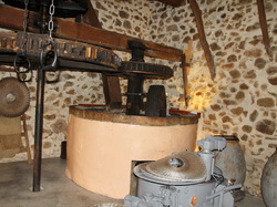 mini_visite-du-moulin-a-huile-de-partegal-524dc97583da6.jpg