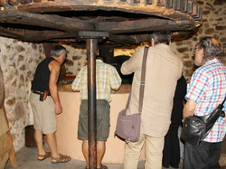 mini_visite-du-moulin-a-huile-de-partegal-524dcc1bacb37.jpg