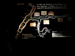 mini_vsite-de-la-grotte-lascaux-2-56047015a7c10.jpg